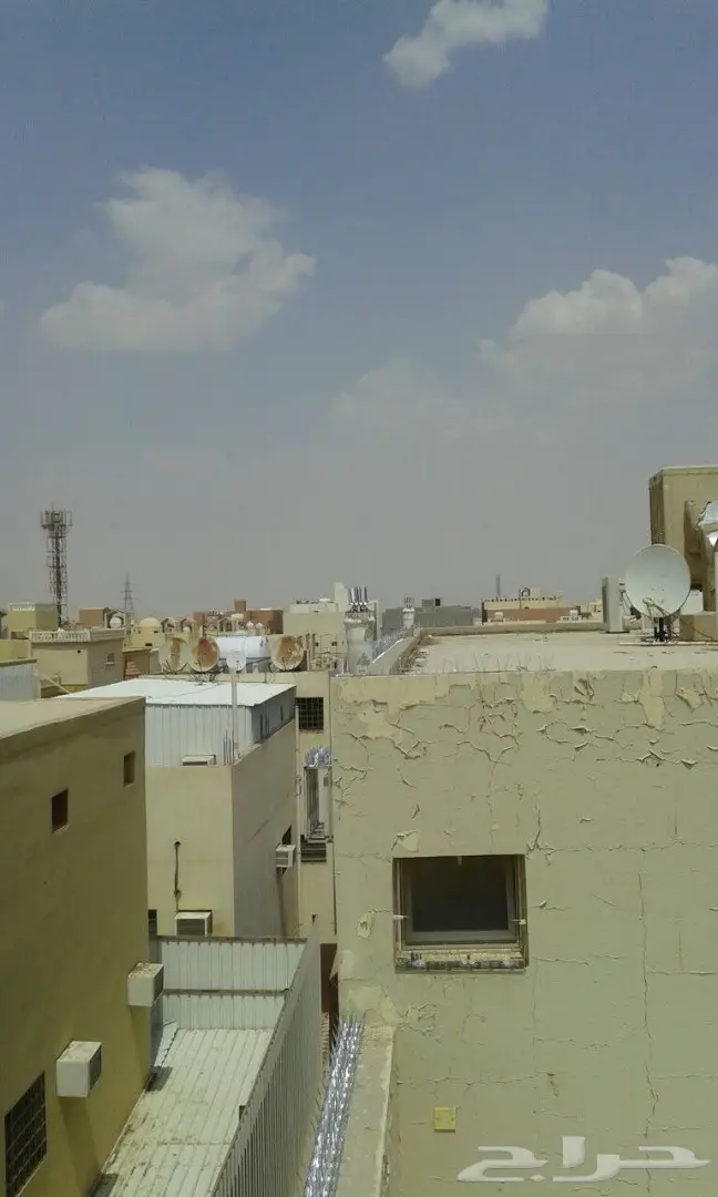 حلول نهائية لمشكلة طيور الغربان والطيور الأخرى! (image 8)