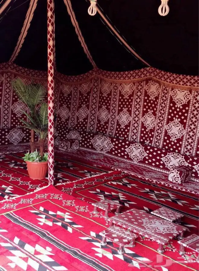 مخيم اصايل بالثمامه (VIP فخم جدا وجديد) (image 21)