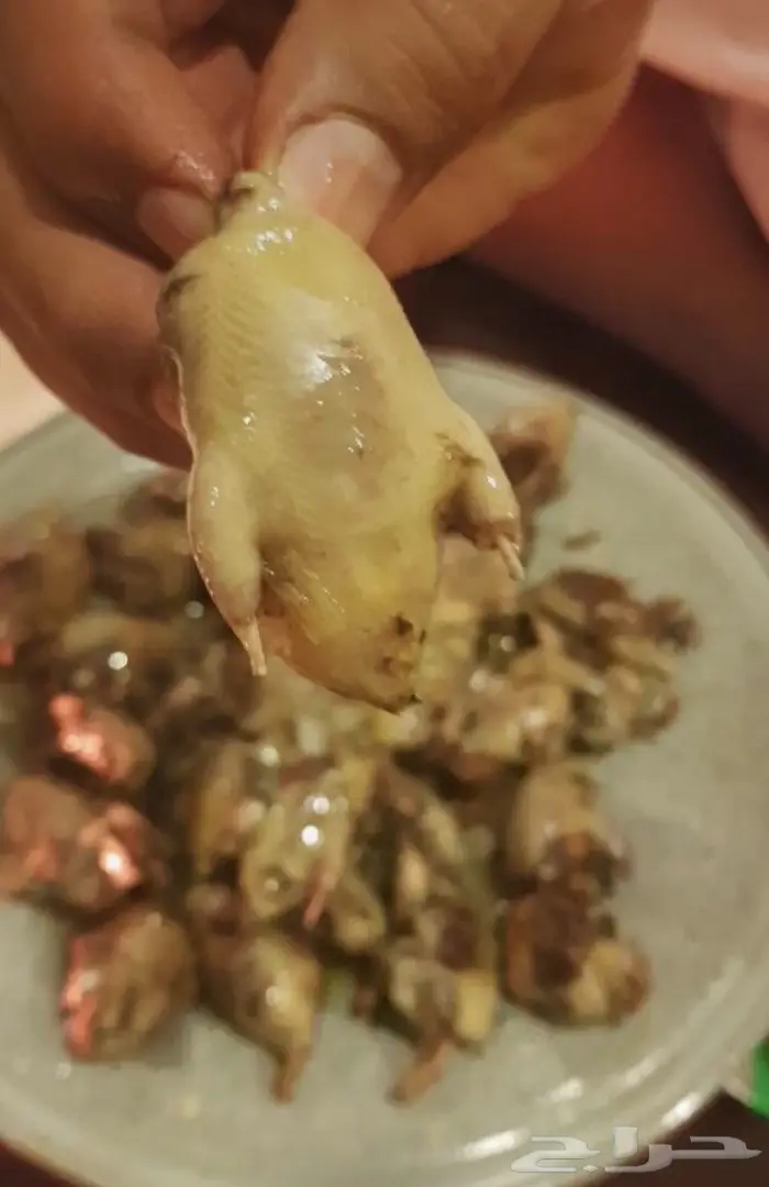 دخل موسم 2017م