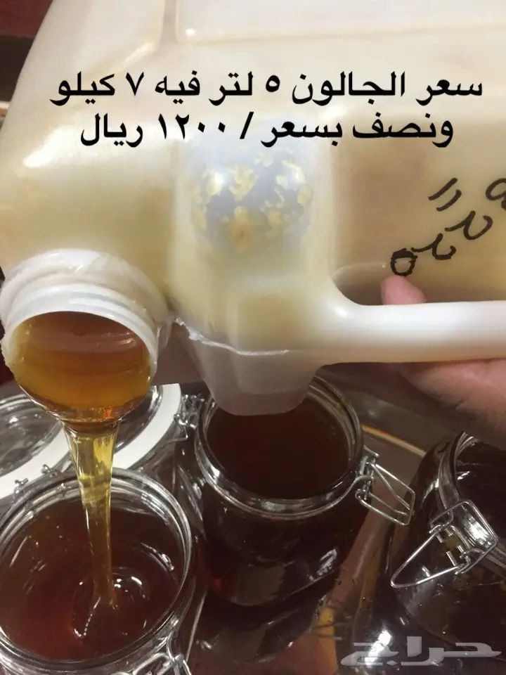 عسل سدر من عسير ومحلل مخبريا  (image 3)