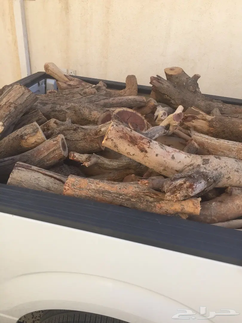 حطب سمر المدينة (image 1)