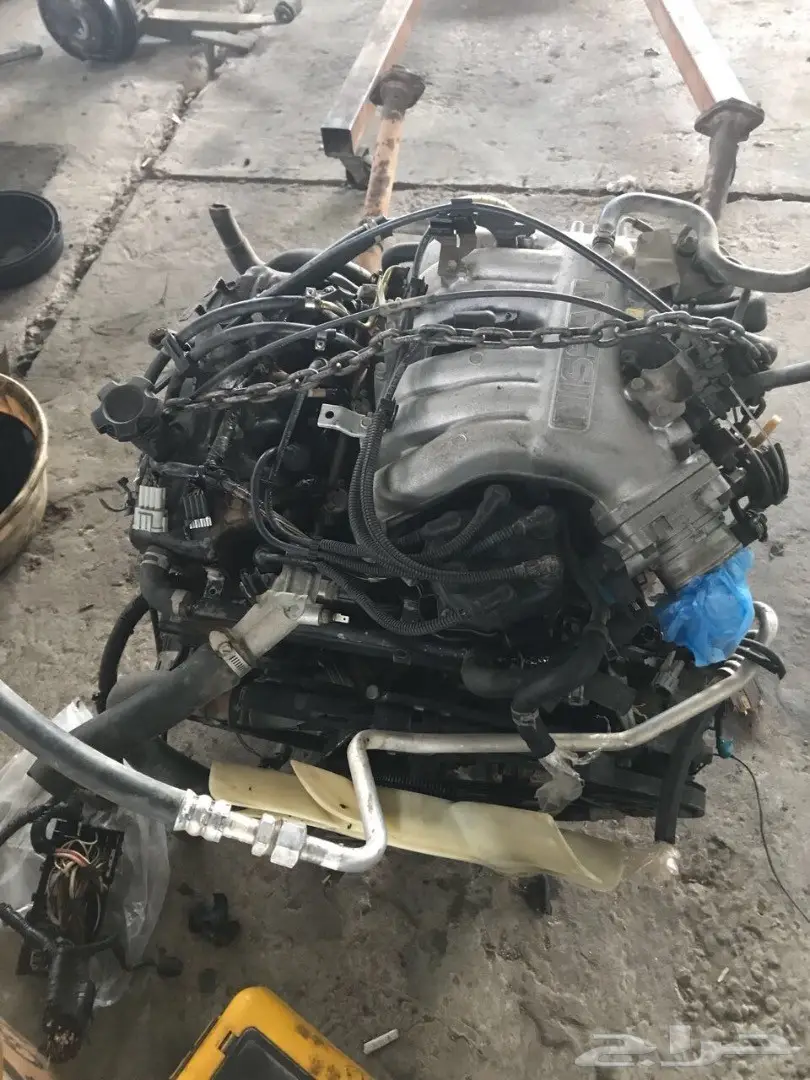 محرك باثفندر 3.3 - فرصة ذهبية!