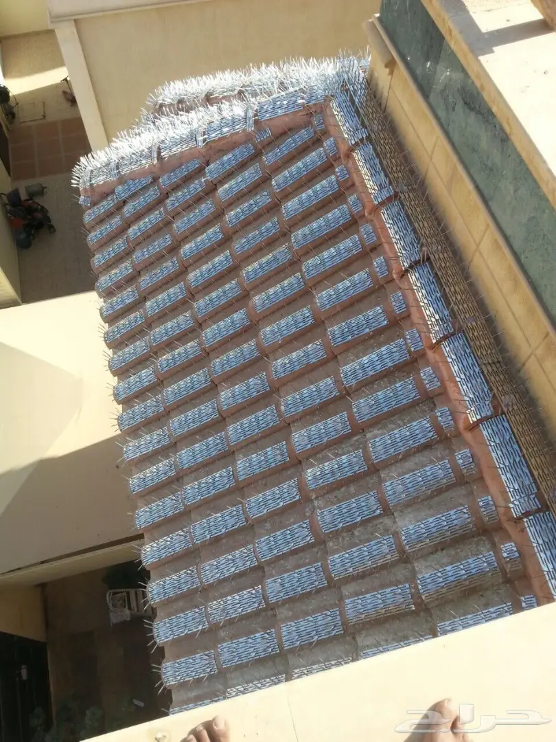 حلول نهائية لمشكلة طيور الغربان والطيور الأخرى! (image 2)