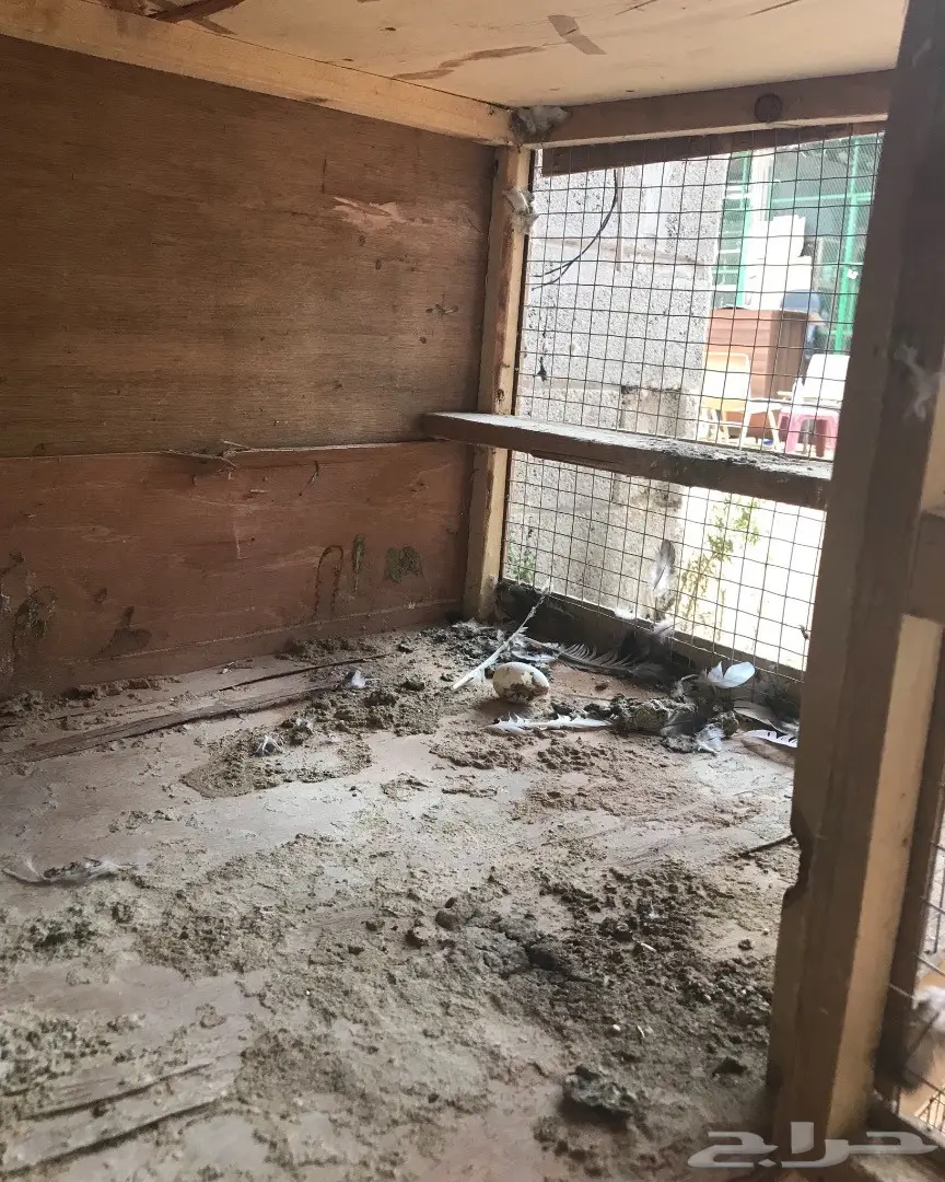 محكر اربع ادوار نظيف (image 3)