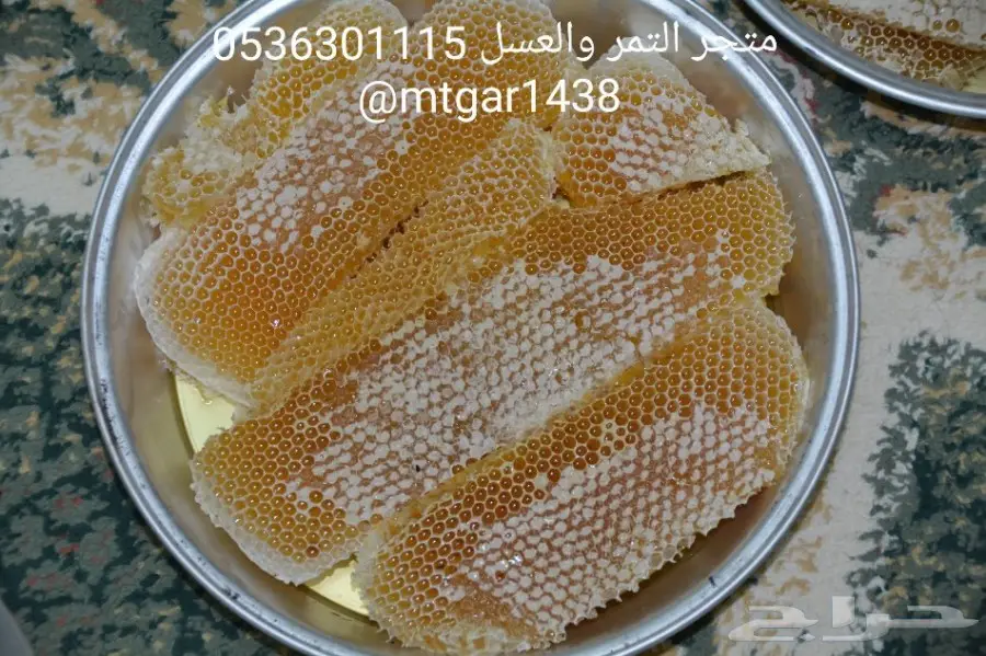 شمع السدر الفاخر 14389 سدر سمرة طلح (image 4)