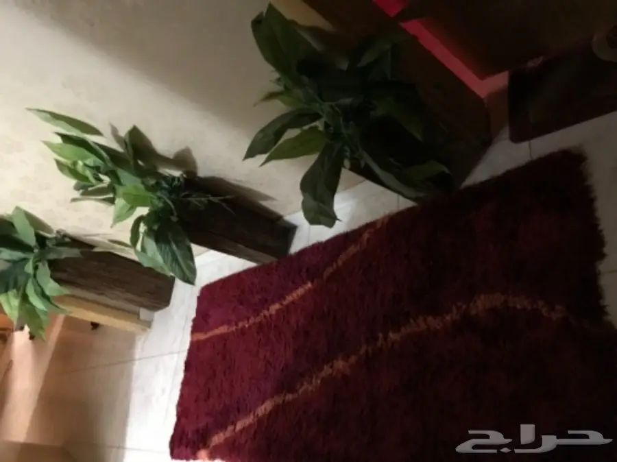 اثاث بيتي (image 7)