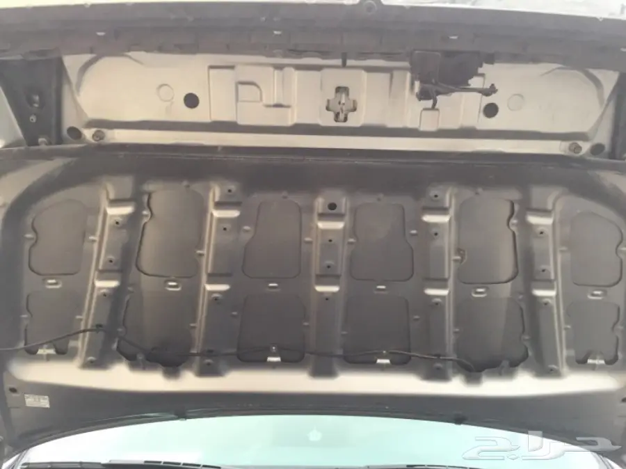 سكويا 2013  (image 26)