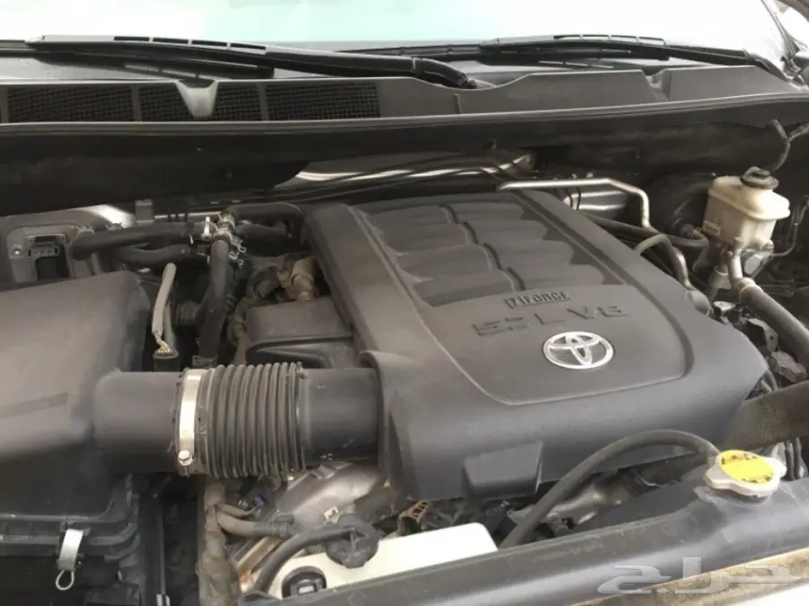 سكويا 2013  (image 27)