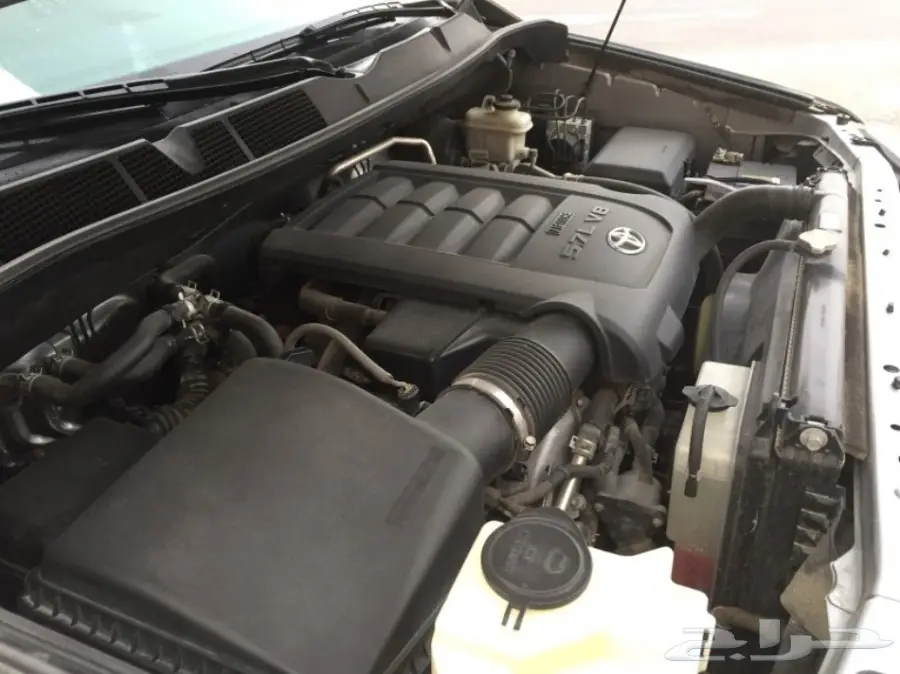 سكويا 2013  (image 28)