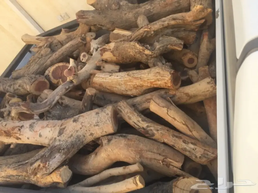 حطب سمر المدينة (image 2)