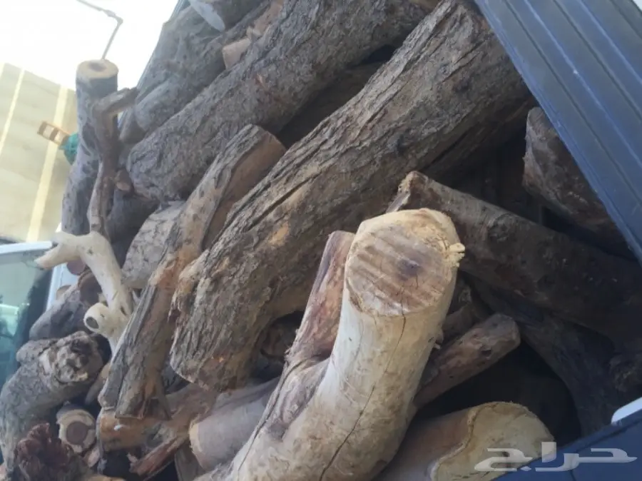 حطب سمر المدينة (image 3)