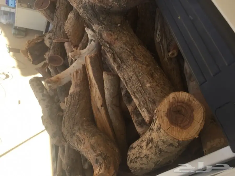 حطب سمر المدينة (image 4)