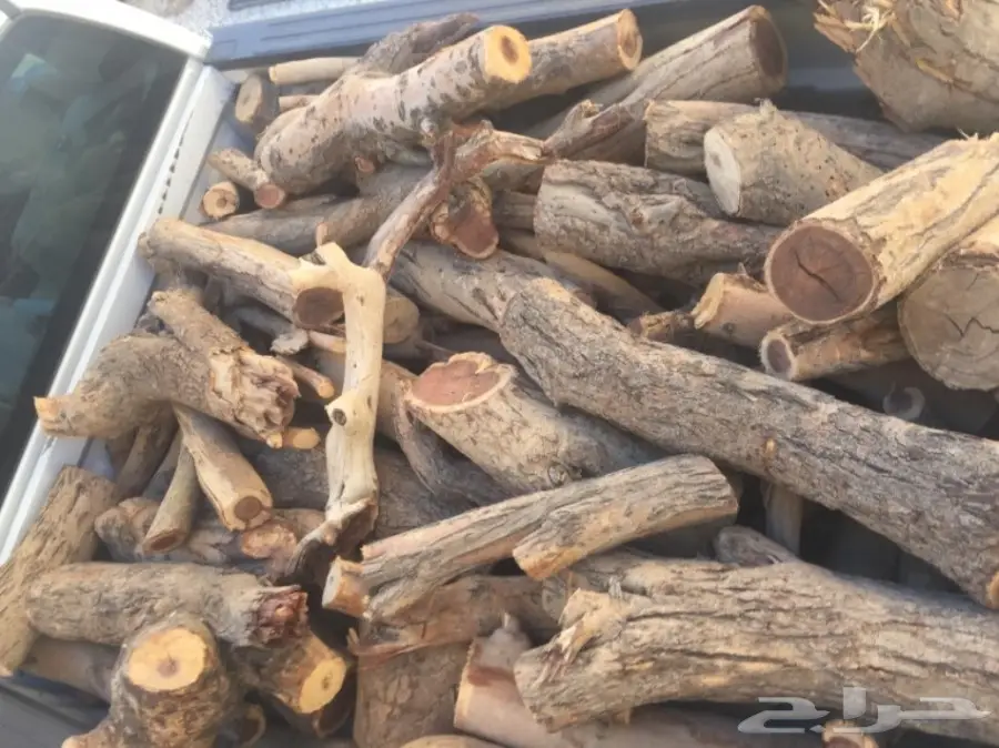 حطب سمر المدينة (image 5)