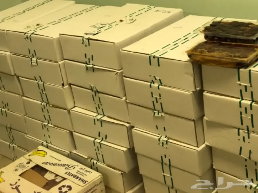 تمر سكري القصيم كراتين يابلااش (image 1)