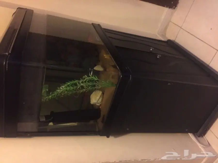 دولاب مع حوض سمك