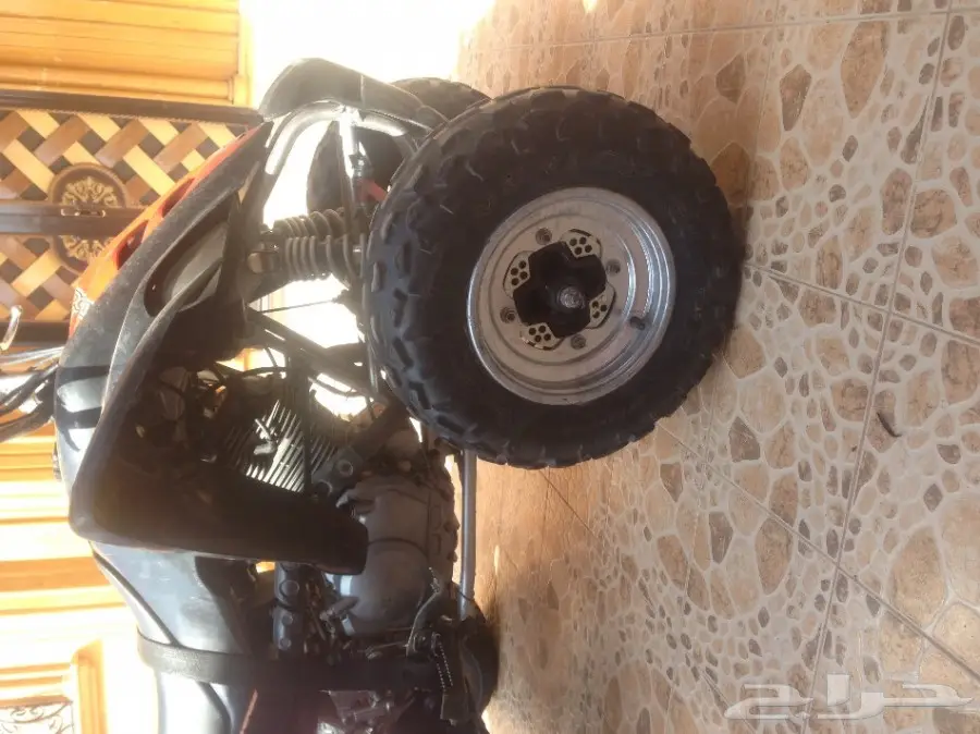 دباب رابتر  (image 2)