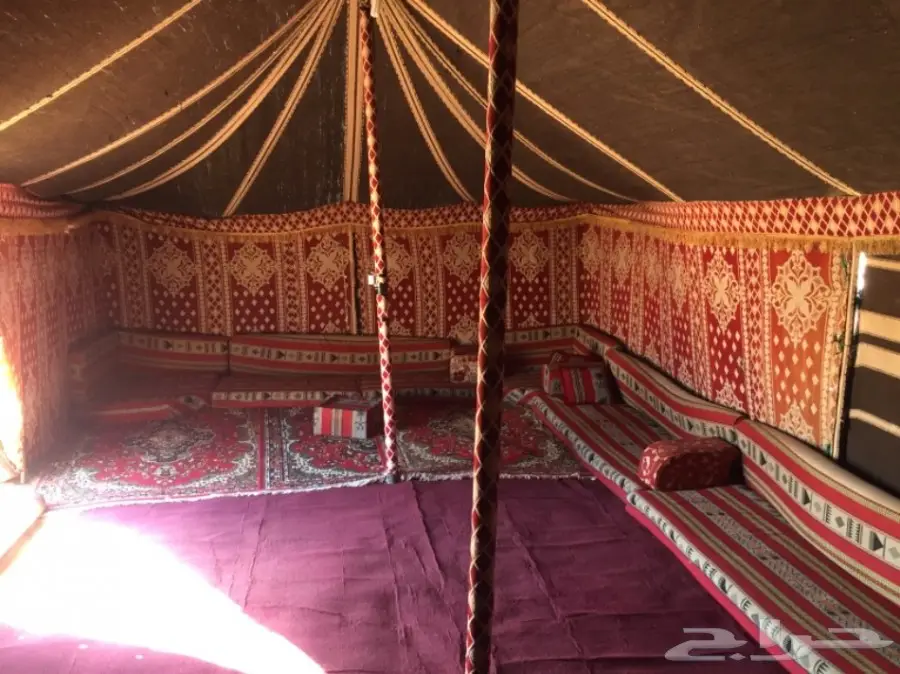 مخيم للإجار  (image 1)