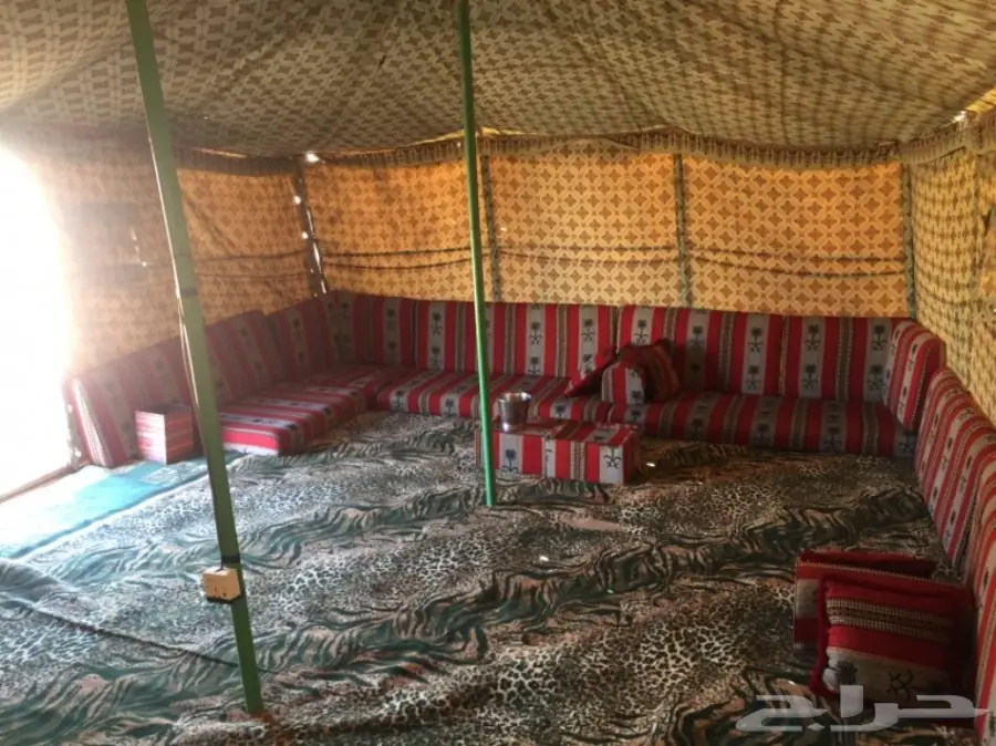 مخيم للإجار  (image 4)