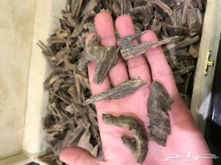 عود هندي موري دبل سوبر 