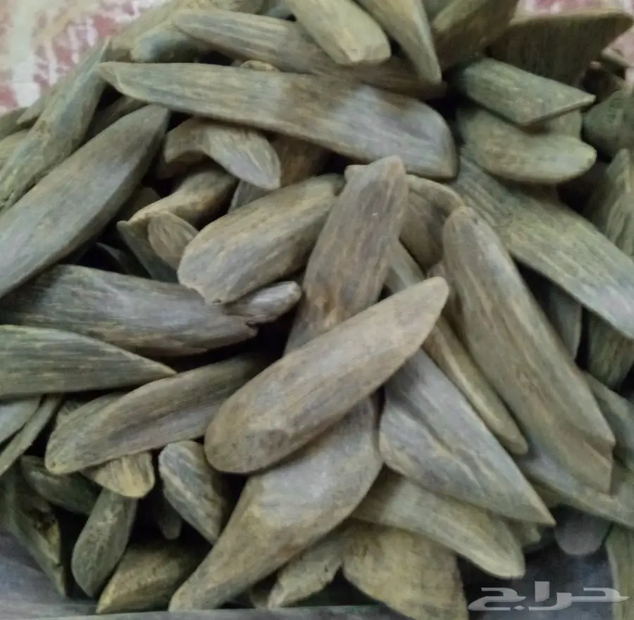 عودمروكي وكلمنتان طبيعي محسن للبيع بسعر مغري 