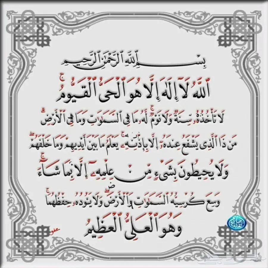 رائد الاستبدال للاجهزة الكهربائية  (image 37)