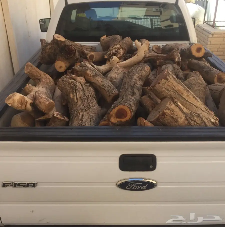 حطب سمر المدينة