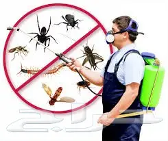 شركة مكافحة حشرات و تنظيف  بالرياض (image 2)