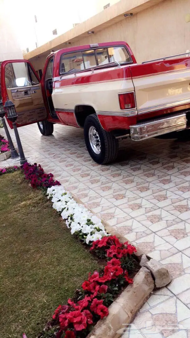 للبيع وانيت شفر 84 (image 2)