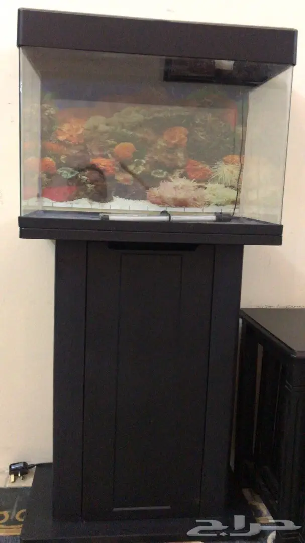 حوض سمك للبيع بسعر مغري (image 4)