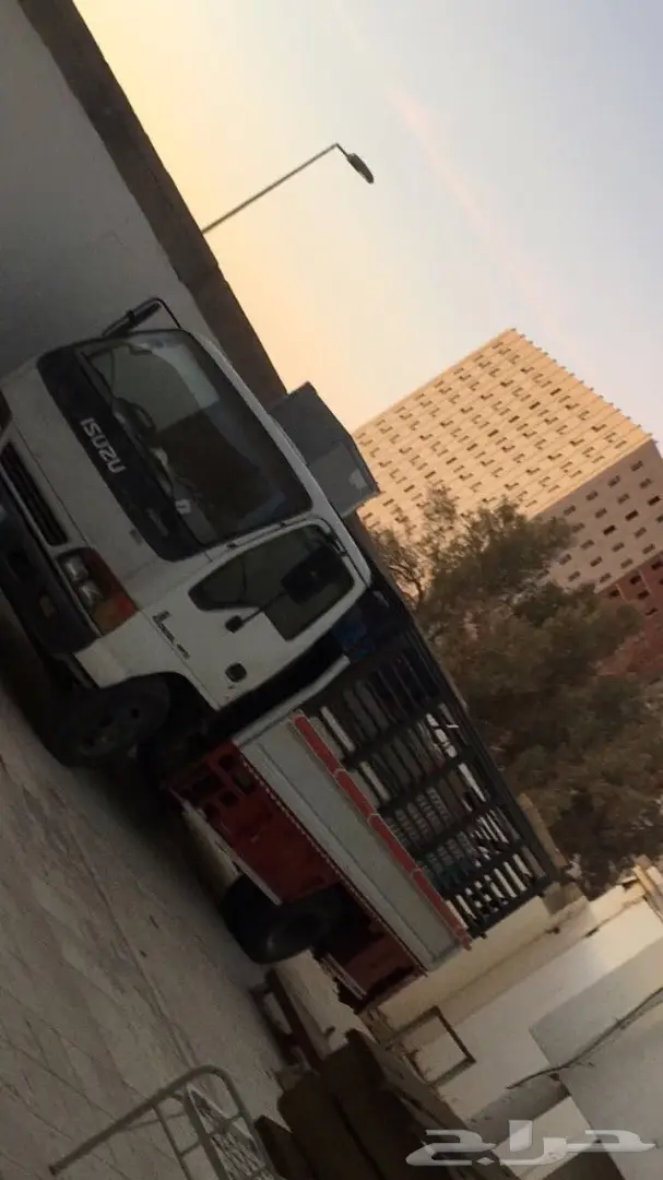 دينا اسيزو للبيع 