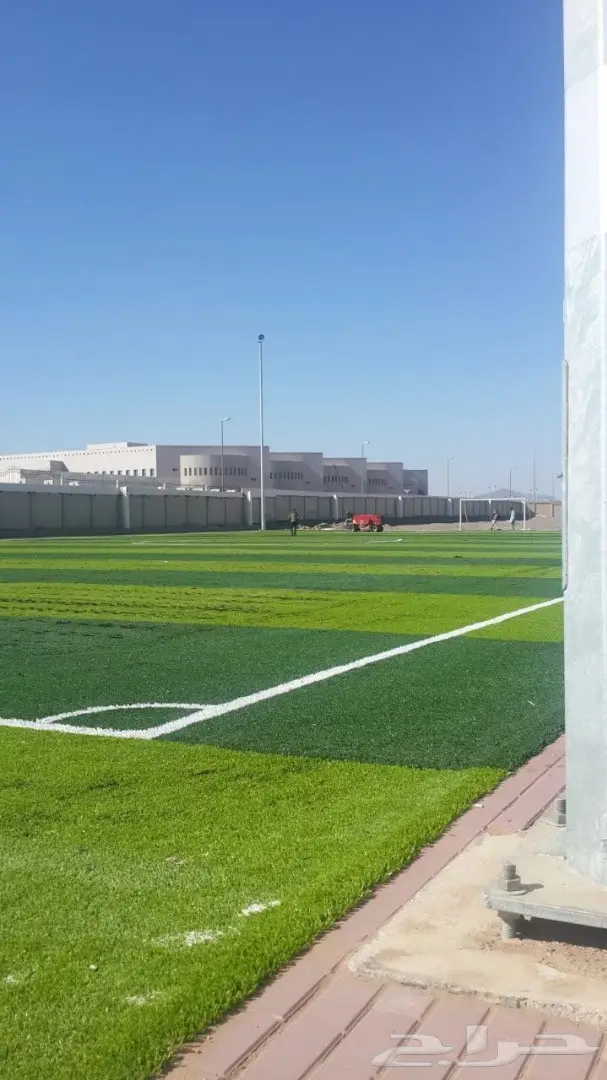 عشب صناعي ملاعب وحدائق (image 12)