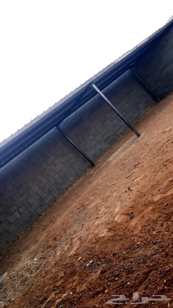 أحواش غنم للايجار (image 3)