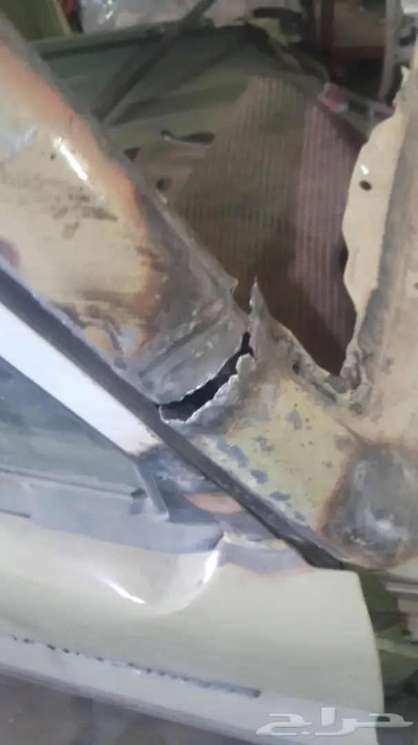 غمارة شاص 2016 (image 12)