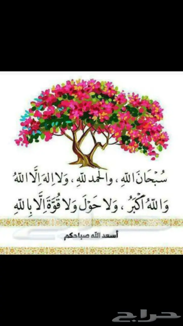 حايل - السلام عليكم   مساء