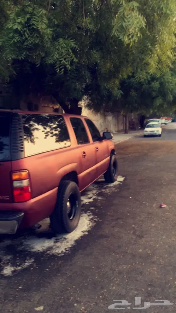 جنوط شنابر مع طيس