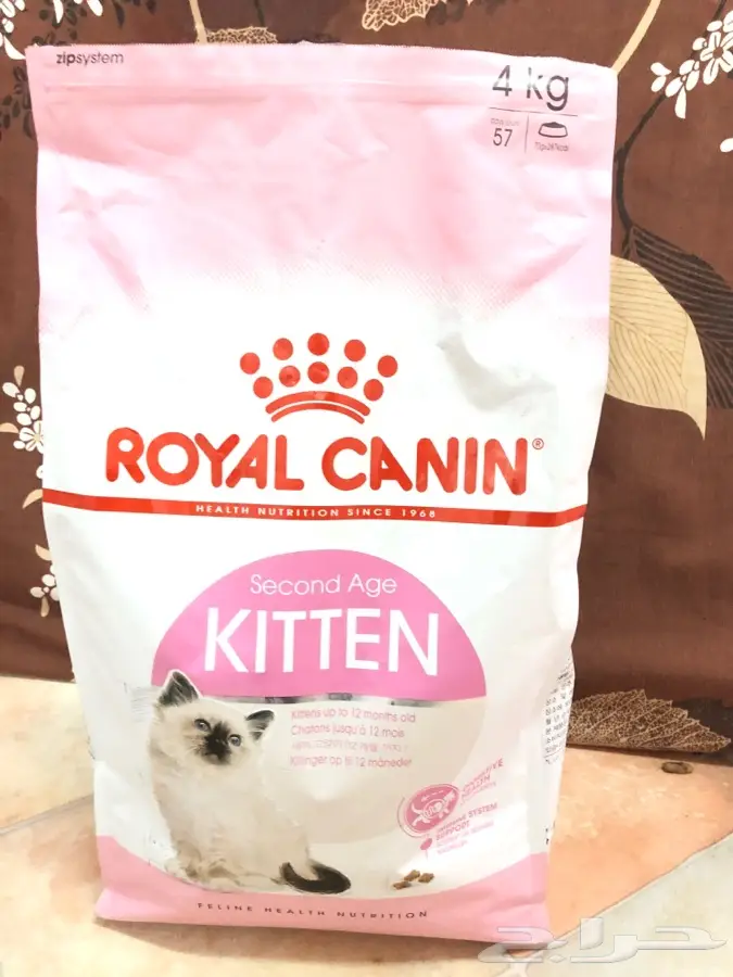 قطط شيرازيه للبيع عمرها 5 شهور  (image 8)