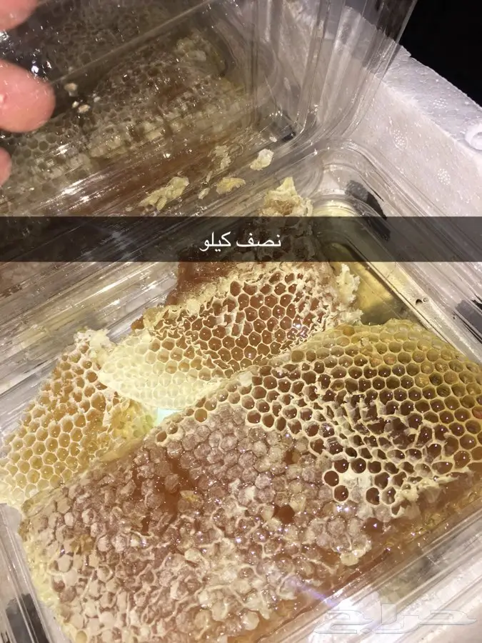 عسل وزيت غصن البان وسدر من الجنوب (image 3)