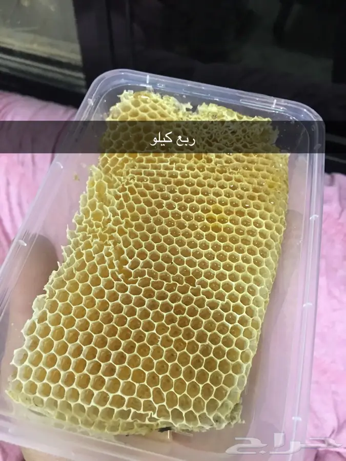 عسل وزيت غصن البان وسدر من الجنوب (image 4)