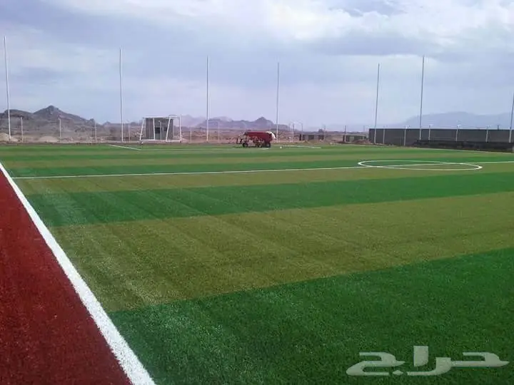 عشب صناعي ملاعب وحدائق (image 9)