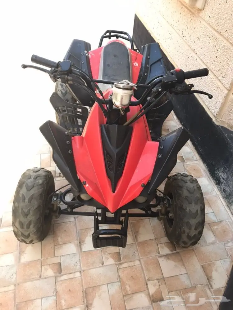 دباب للبيع (image 2)