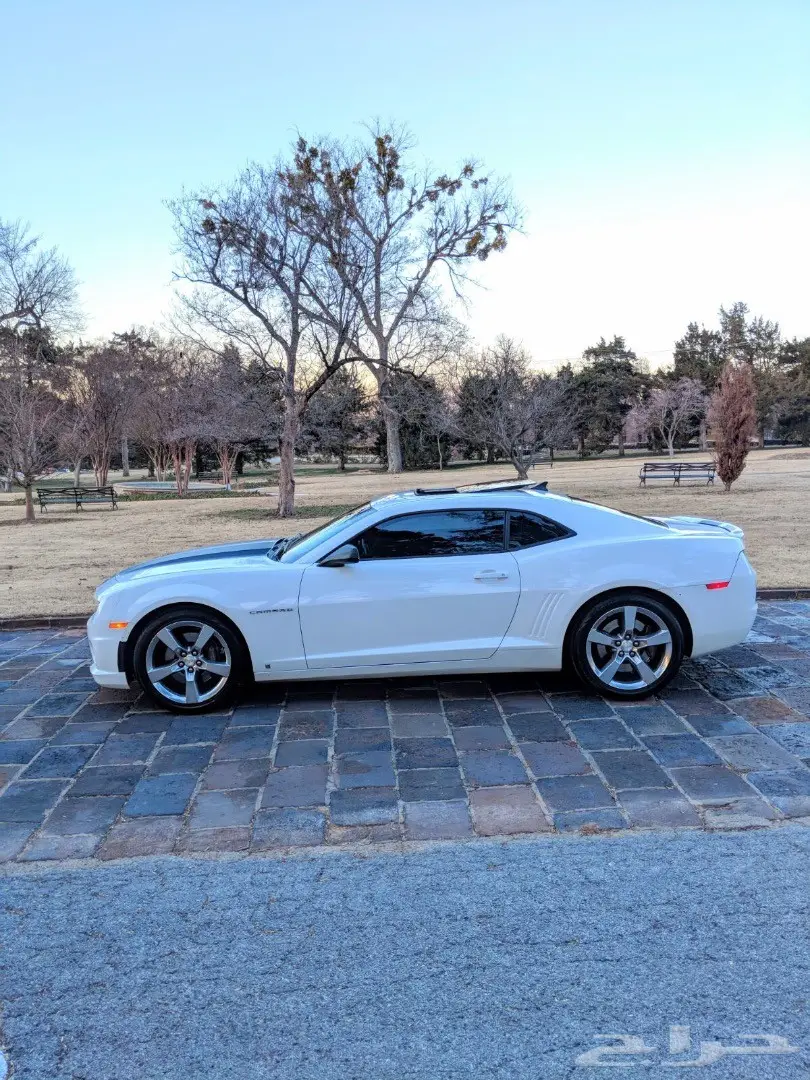 كومارو SS 2010 امريكي  (image 2)