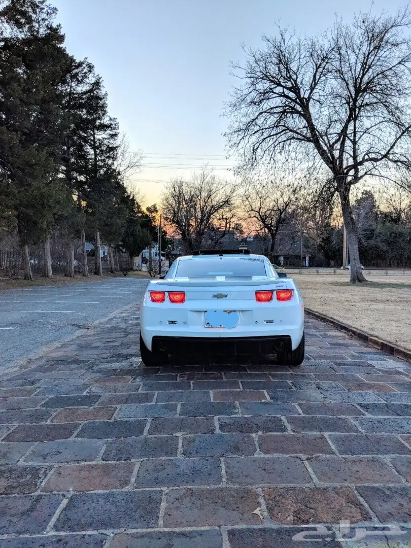 كومارو SS 2010 امريكي  (image 4)