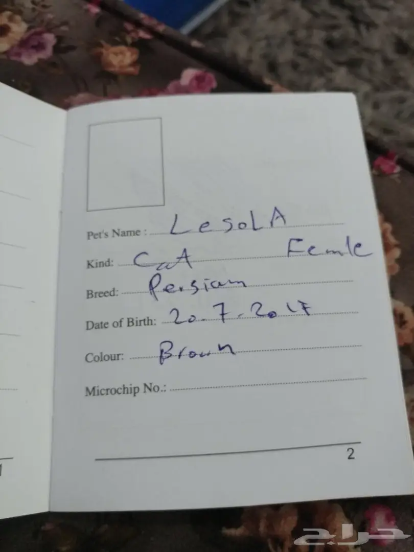 قطوه مزيونه  (image 1)