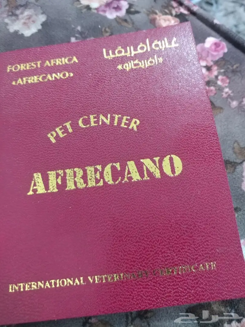 قطوه مزيونه  (image 2)