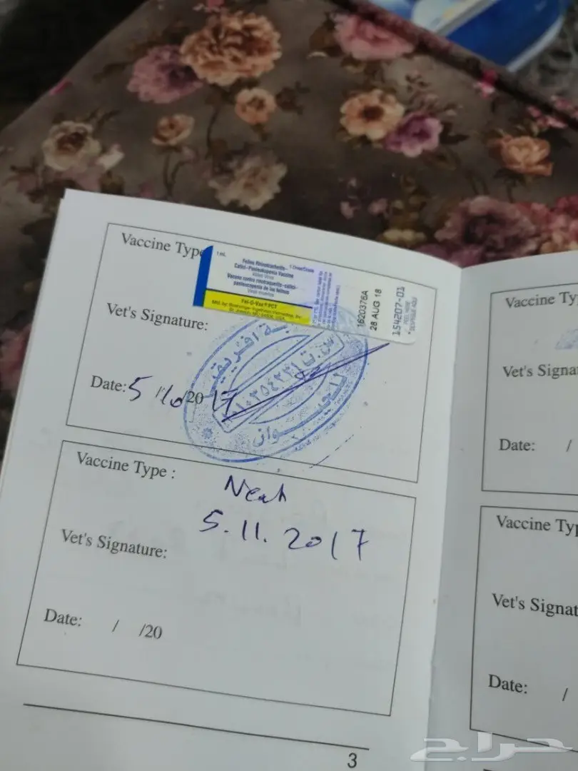 قطوه مزيونه  (image 3)