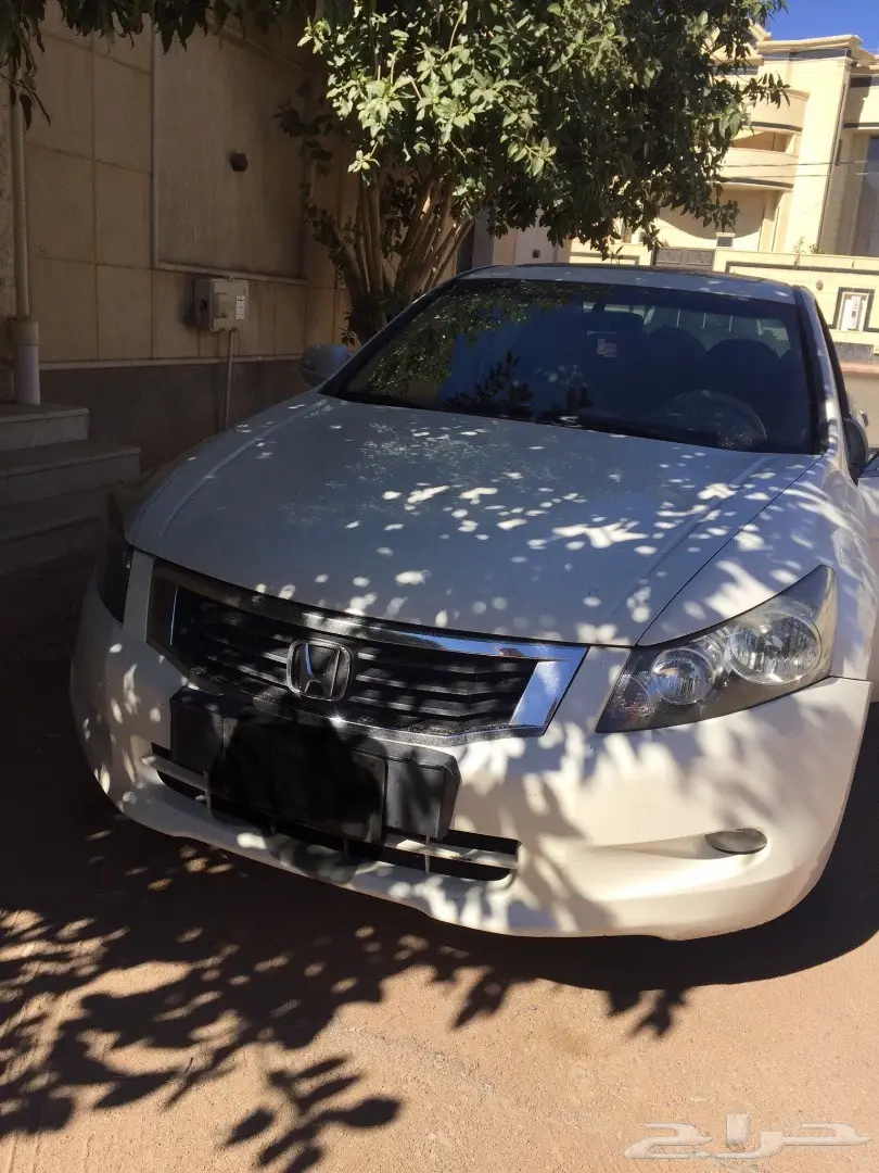 هوندا اكورد 2008 ابيض  (image 7)