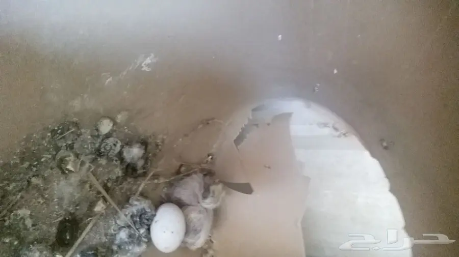 حمام مشكل للبيع  (image 6)