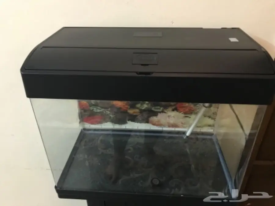 حوض سمك للبيع بسعر مغري