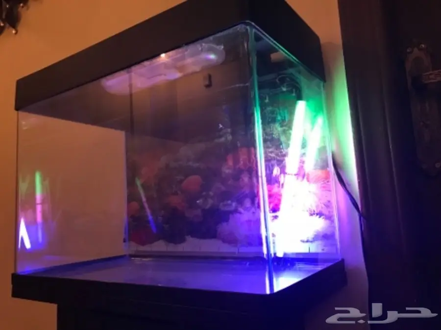 حوض سمك للبيع بسعر مغري (image 3)