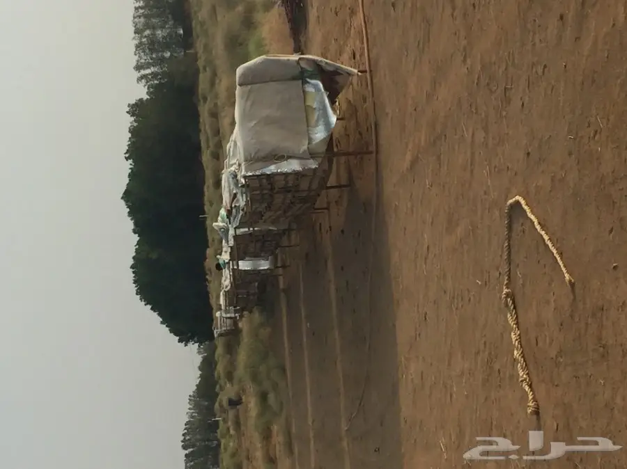 عسل سدر مضمون على الشرط 10 الاف اذا مغشوش  (image 16)